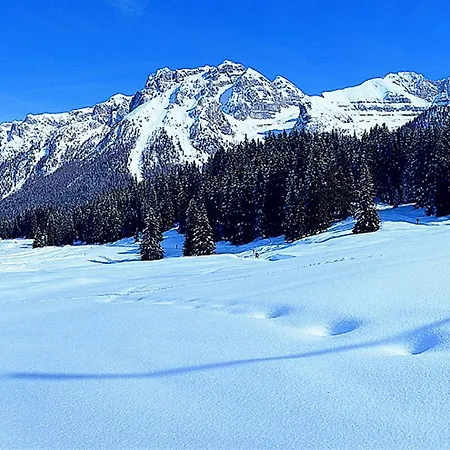 Campiglio Trilocale Monte Spinale Apartment Madonna di Campiglio Room photo