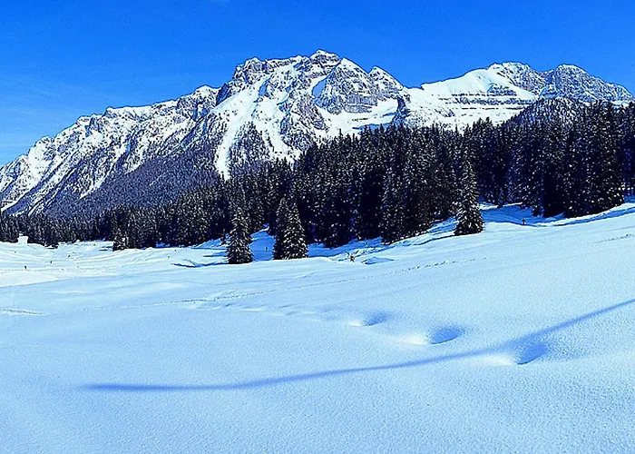 Campiglio Trilocale Monte Spinale